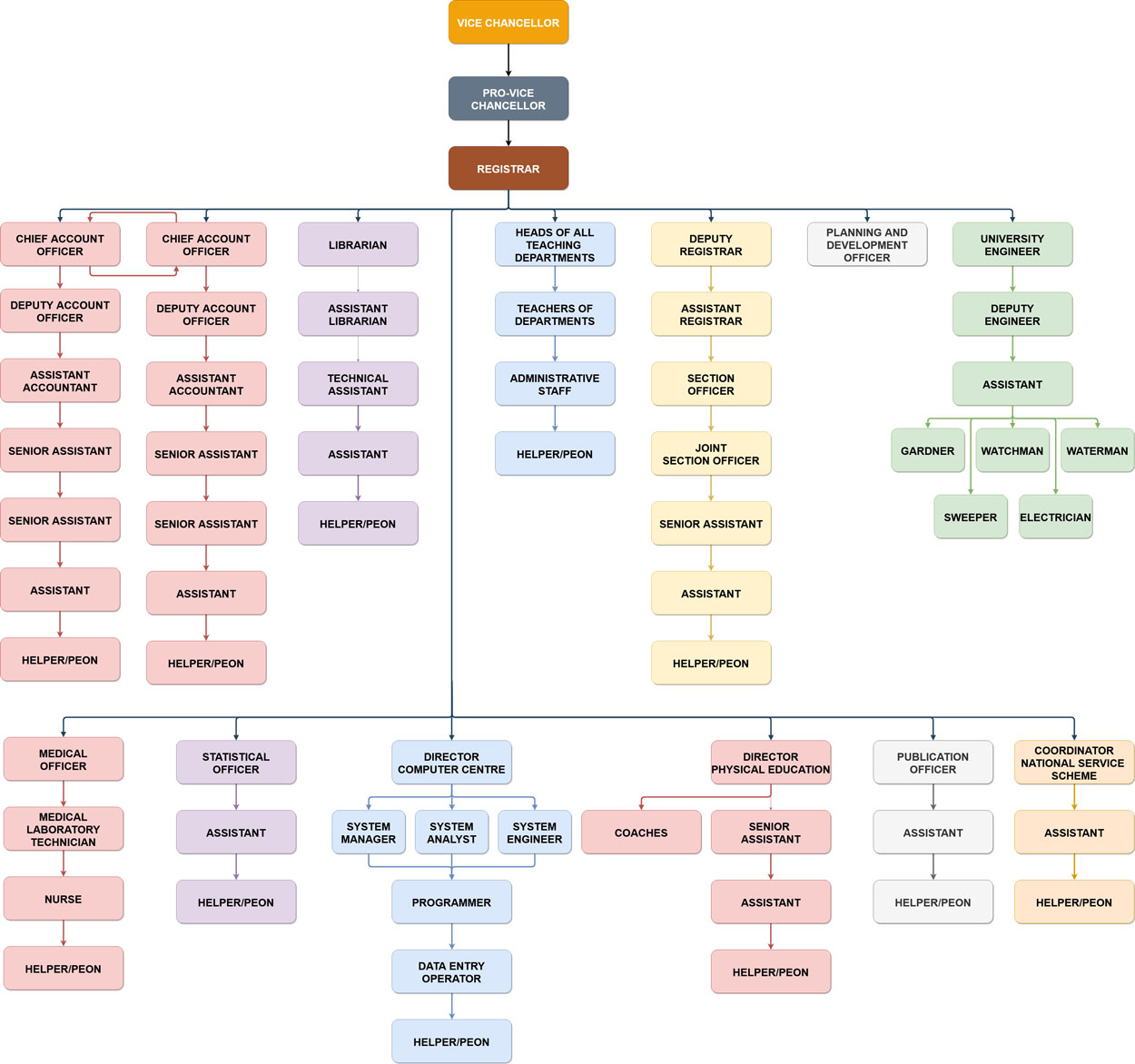 Organizational Structure